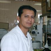 Lemuel P�rez Picaso